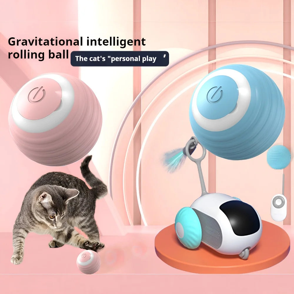 Pet Toys & Play