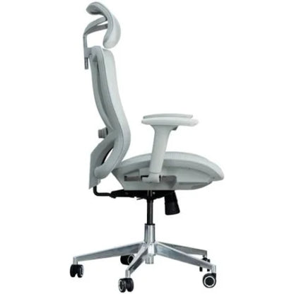 ErgoForm Contour Mesh Ergonomic Chair