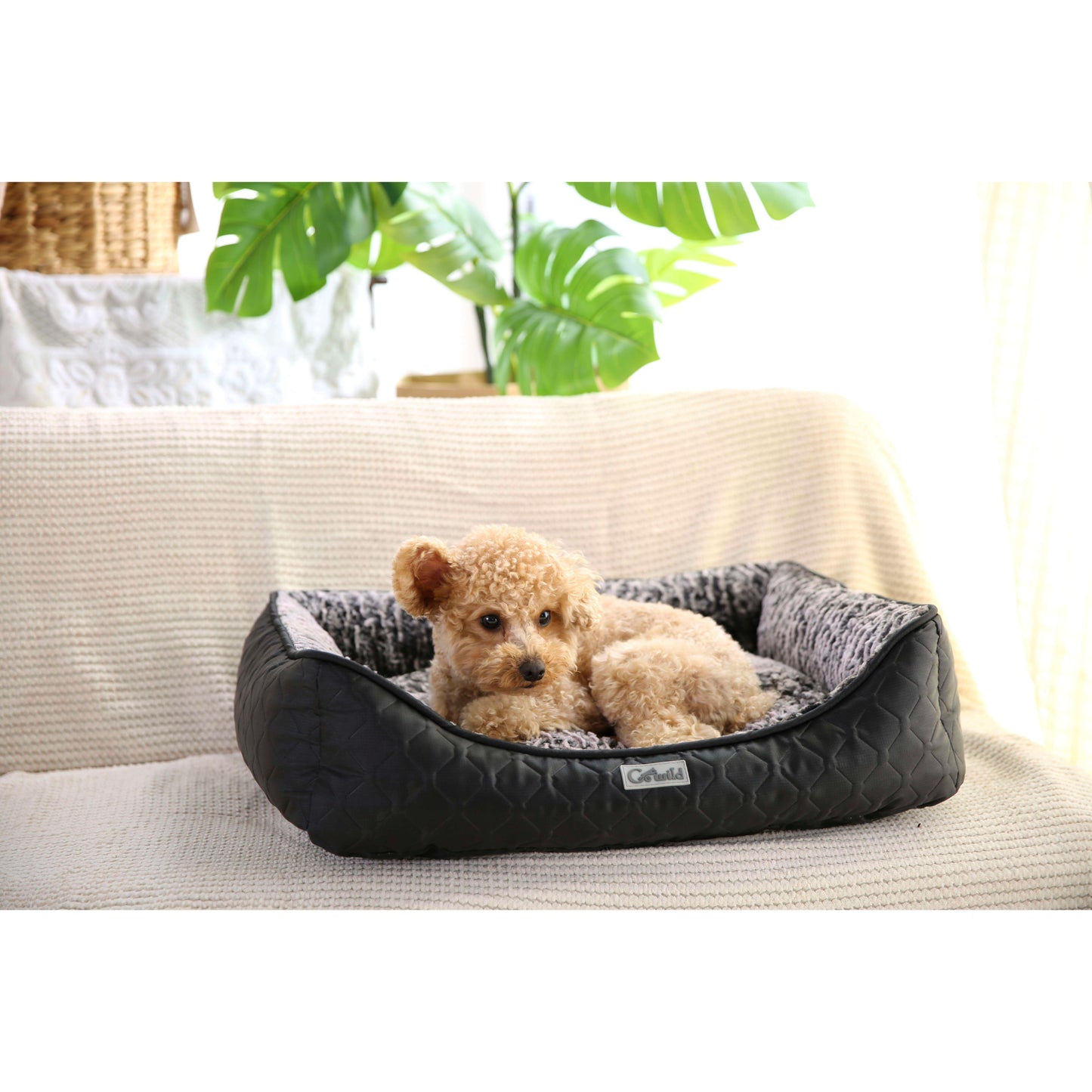 GoWild Quilted Plush Pet Bed Raised Sides